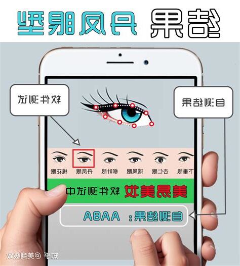 眼 型